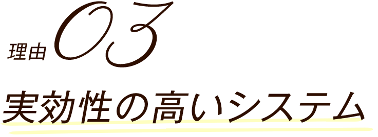 実効性の高いシステム